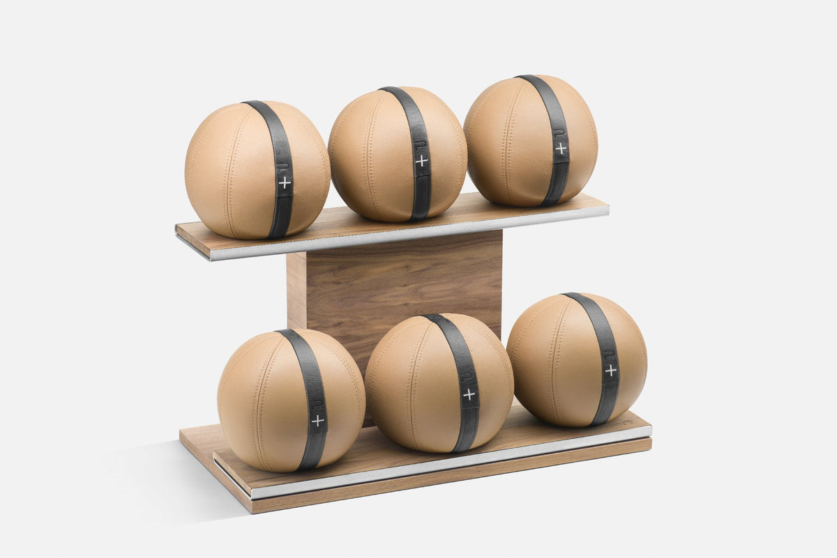 PENT MOXA™ Luxury Medicine Ball Set