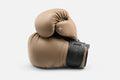 PENT RAXA™ Luxury Boxing Set