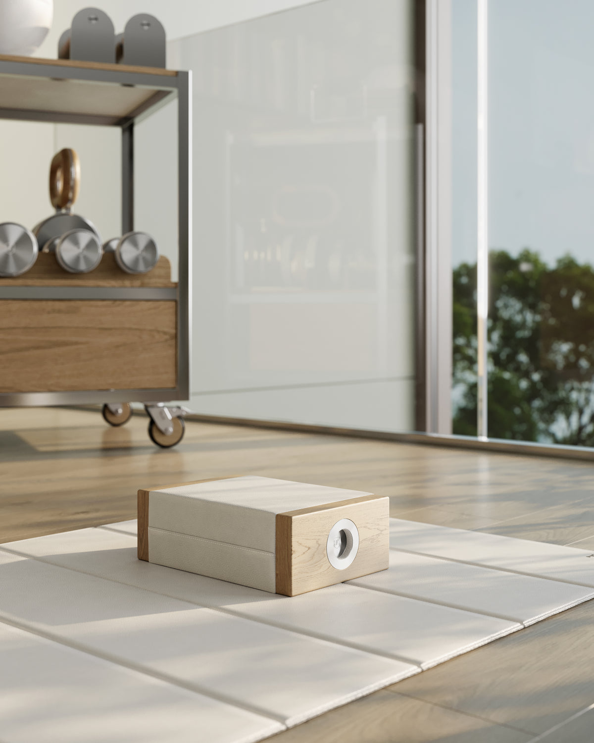FYSIK KENN™ Training Cart — detail